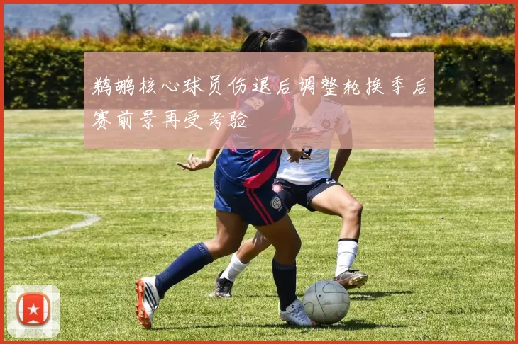 鹈鹕核心球员伤退后调整轮换季后赛前景再受考验