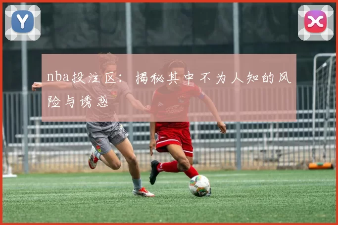 nba投注区：揭秘其中不为人知的风险与诱惑