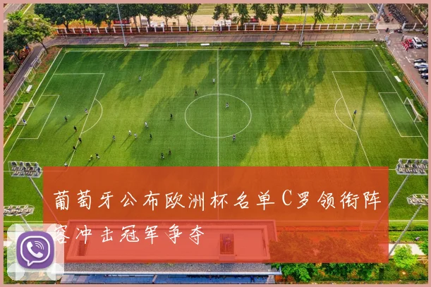 葡萄牙公布欧洲杯名单 C罗领衔阵容冲击冠军争夺