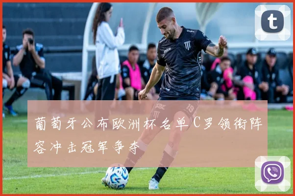 葡萄牙公布欧洲杯名单 C罗领衔阵容冲击冠军争夺