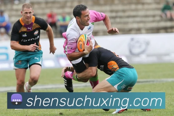 辅助工具 辅助工具